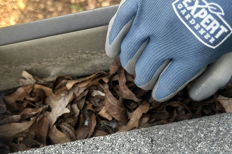 Gutter Cleaning Southwest Orlando