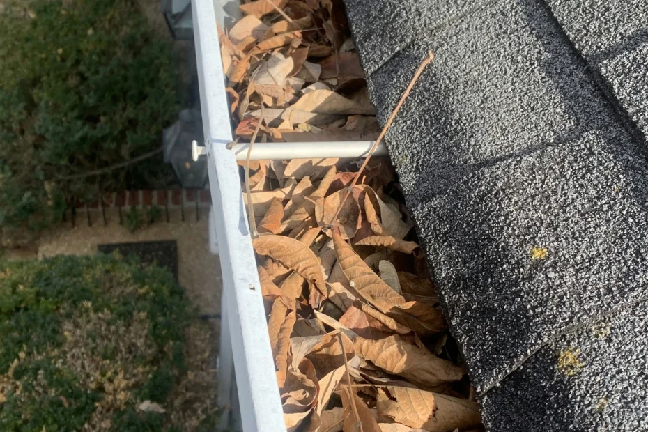 Gutter Cleaning Southwest Orlando