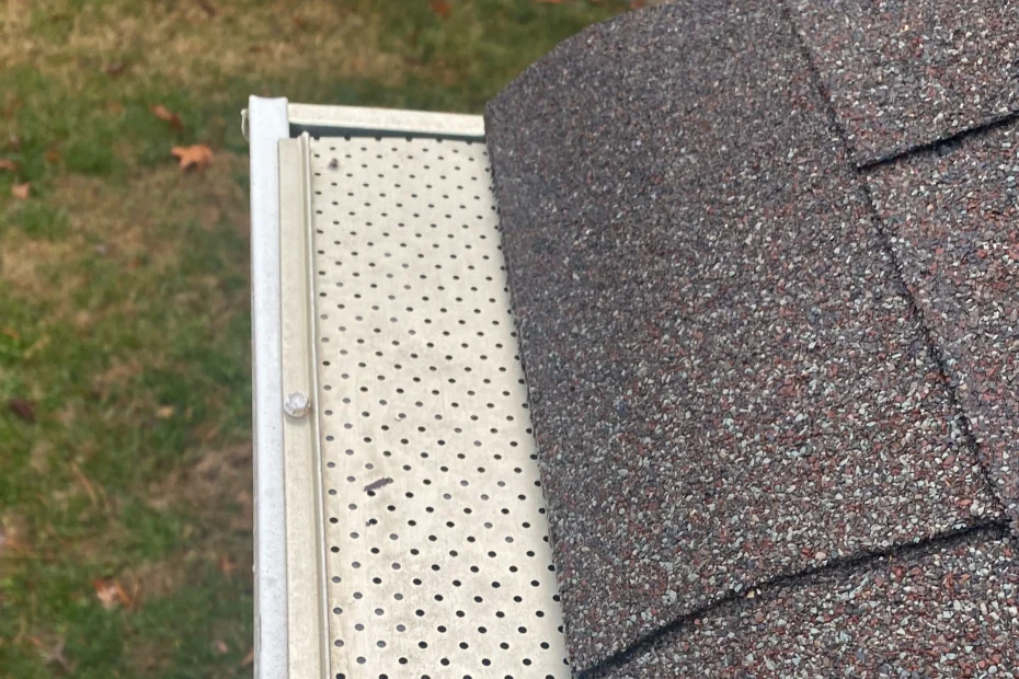 Gutter Cleaning Southwest Orlando