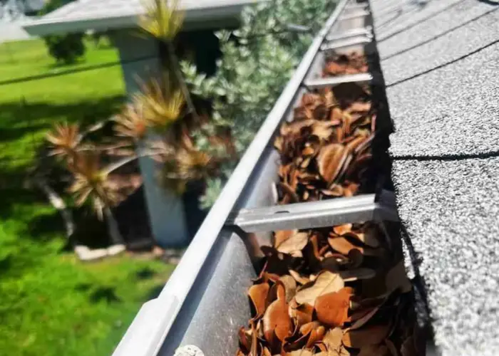 Gutter Cleaning Southwest Orlando home page